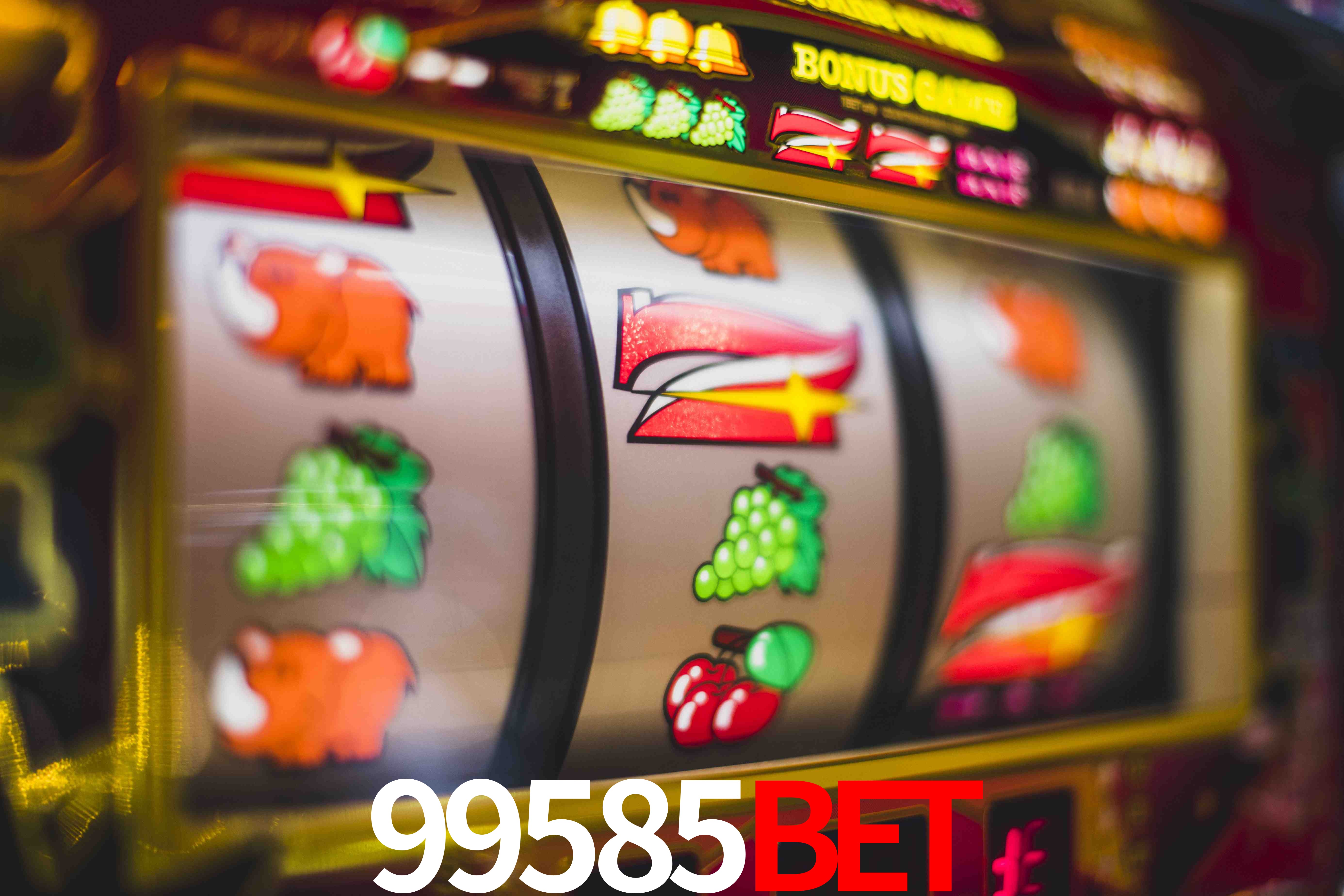 Football Betting 99585bet