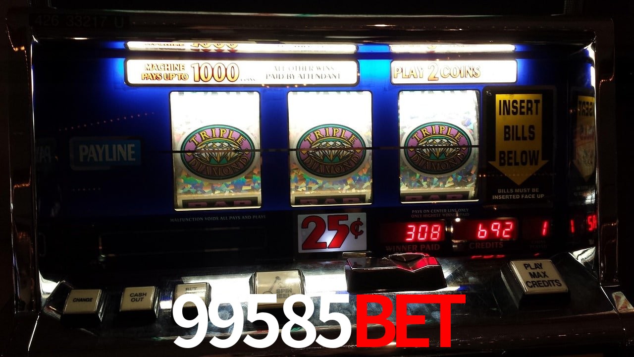 Sports Statistics 99585bet